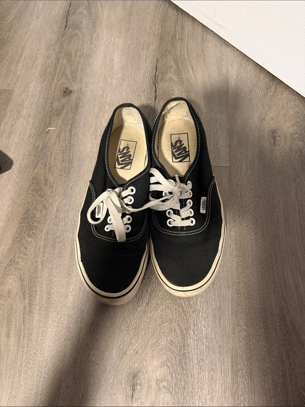 Vans Black Canvas Low-Top Sneakers